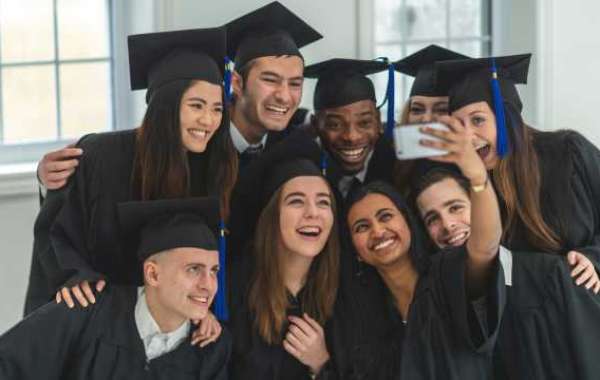 Best courses to study Undergraduate Scholarships In Nigeria 2024