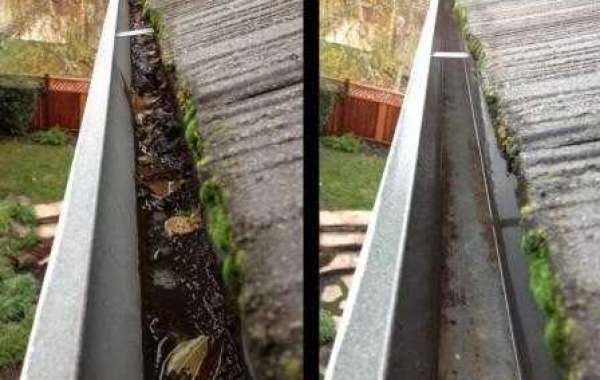 Shield Your Home: The Importance of Regular Gutter Cleaning Services in Sydney