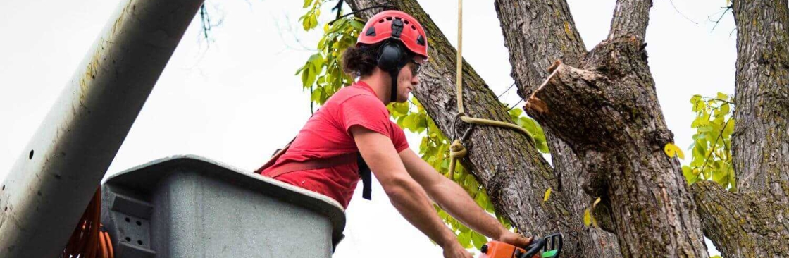 Tree Service Lansing MI Cover Image