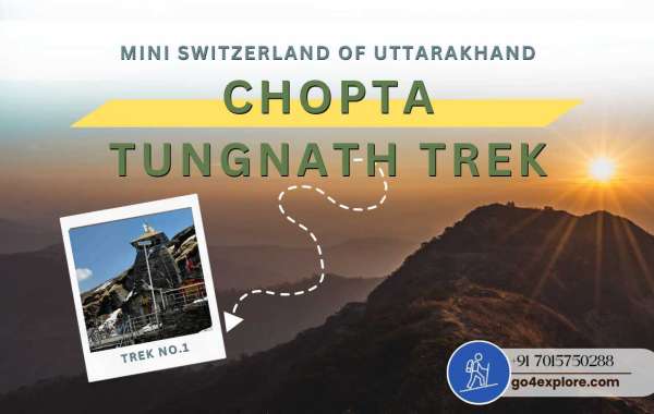 Chopta Tungnath Chandrashila Trek: A Complete Guide