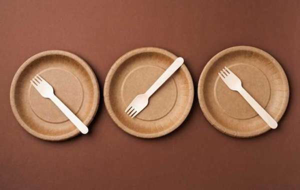 Eco-Friendly Disposable Plates: A Sustainable Solution for Modern Living