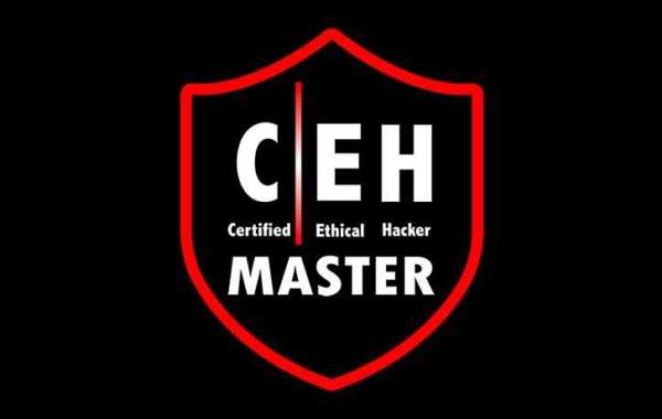 Top CEH Master Training Institute in Delhi