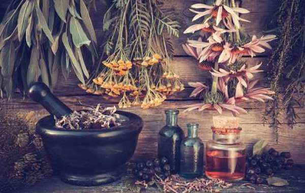 North America Botanical Extracts Market Gross Margin by Profit Ratio of Region, and Forecast 2030