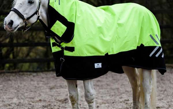 Behind the Numbers: Understanding the 1200D in Turnout Rugs