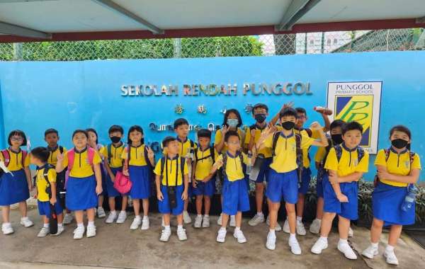 The Essential Role of After School Care in Singapore