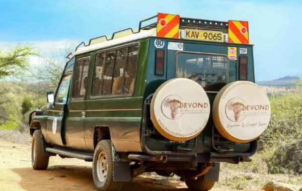 Discover the Ultimate Adventure: Beach and Safari Packages in Kenya and Tanzania
