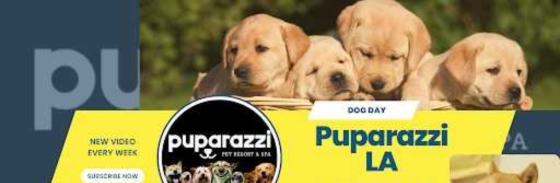 Puparazzi LA Cover Image