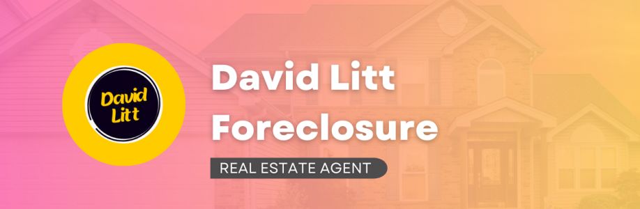 David Litt Foreclosure Cover Image