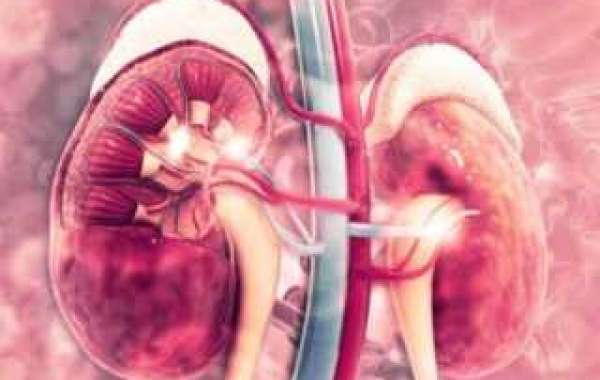 Best Kidney Failure Treatment In Pune