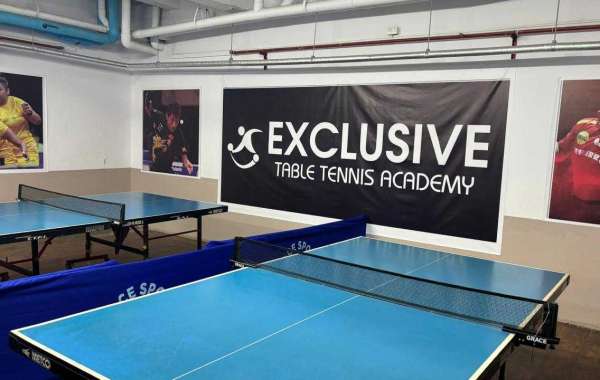 Improve Your Game with Exclusive Table Tennis Academy