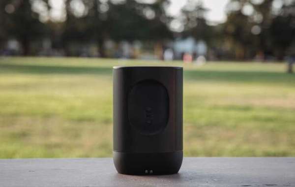 Why You Need the Sony Portable Wireless Speaker for PS5 Games