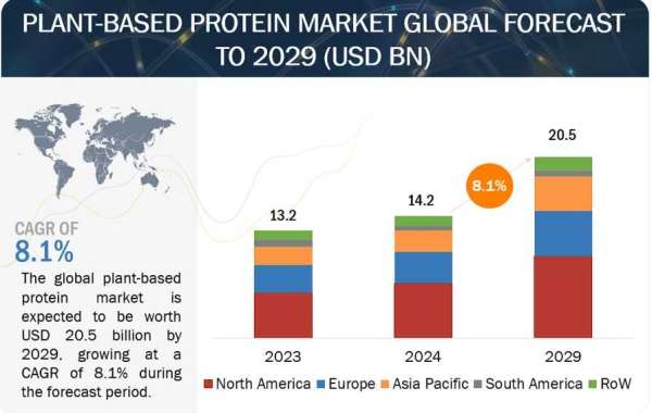 Market Analysis: The Growing Demand for Plant-Based Protein Products