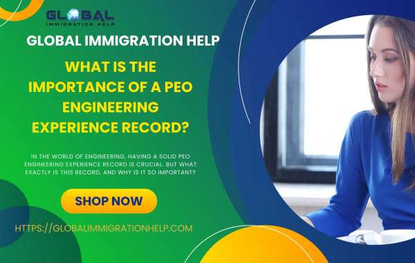 What is the Importance of a PEO Engineering Experience Record?