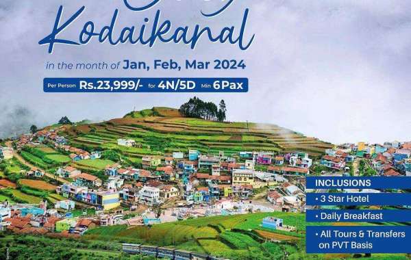 Affordable International Travel: Budget-Friendly Tour Packages from Hyderabad