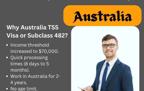 Understanding the Subclass 482 Visa: A Guide for Applicants