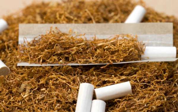 Intensive Tobacco: Exploring the World of High-Intensity Smoking