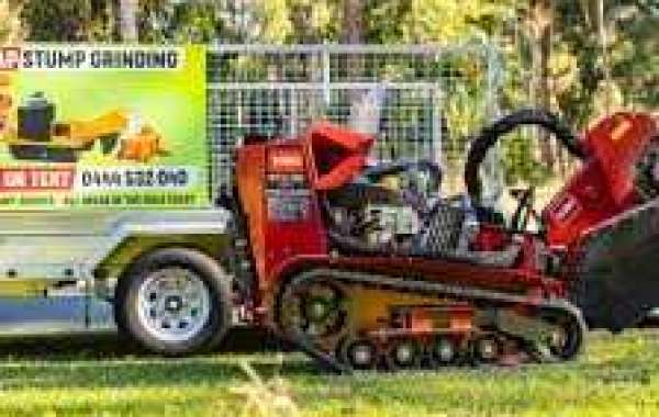 Stump Grinder Hire on the Gold Coast: Everything You Need to Know