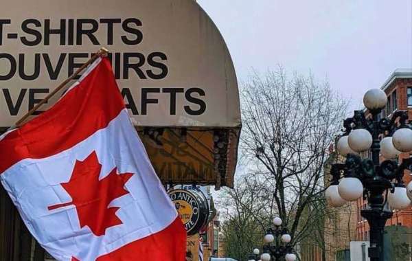 Everything You Need to Know About the Canada Work Permit: Types, Eligibility, and Application Process