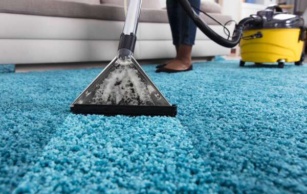 Why Carpet Cleaning Is Essential for a Comfortable Home