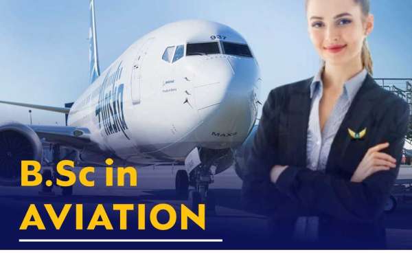 Bachelor of Science (BSc) in Aviation: Course Structure, Syllabus, and Career Opportunities