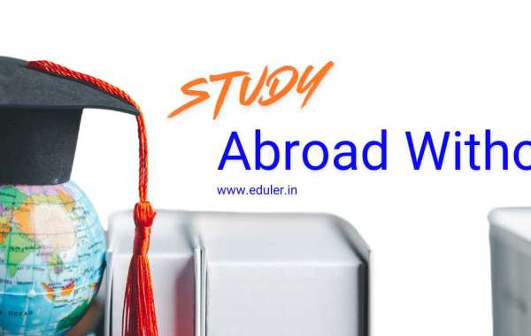 What Documents Do I Need To Prepare With The Help Of A Study Abroad Consultant?