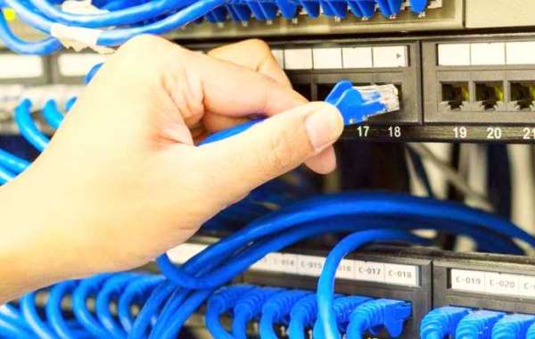 Cat6 Plenum 1000FT Solid 550MHz Network Cable UTP