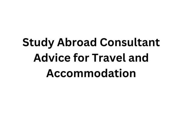 Study Abroad Consultant Advice for Travel and Accommodation