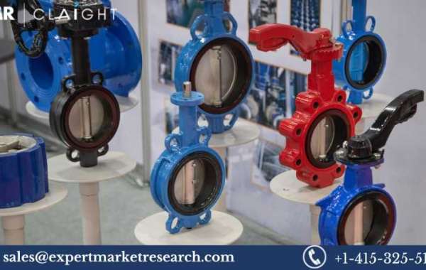 Butterfly Valves Market Size, Share and Trends (2024-2032)