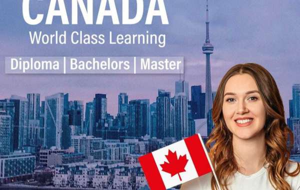 Study and tourist visa consultants in Chandigarh