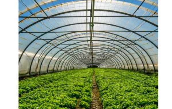 Choosing the Best Greenhouse Film for Optimal Growth