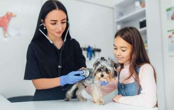 The Ultimate Guide to Veterinary Care in Qatar: Finding the Best Vet Clinic in Doha