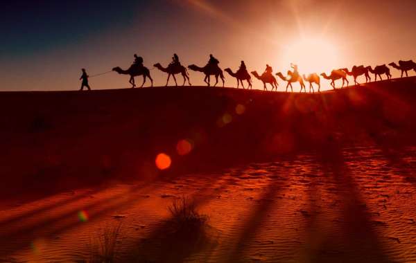 A Comprehensive Guide to Select the Best Taxi Service in Rajasthan