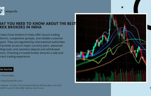 What you need to about the best forex brokers in india