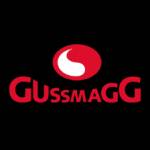 Gussmagg GmbH Profile Picture