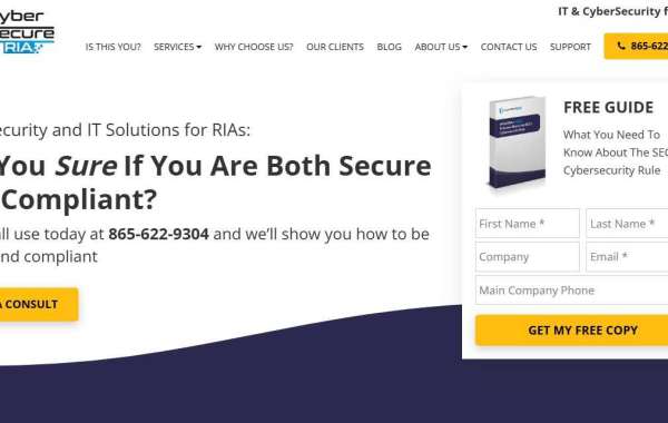 CyberSecureRIA: Securing Your Business with Expert IT and Cybersecurity Solutions
