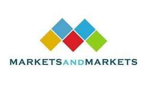 Growth Trends in the US Web Content Management Market