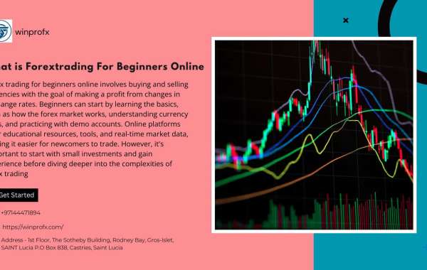 what is forextrading for beginners online