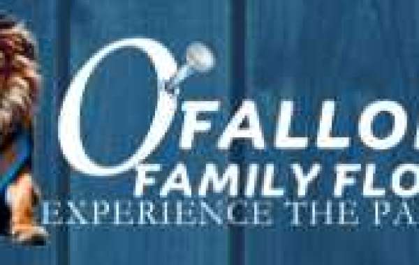 Enhance Your Home with O'Fallon Family Floors: Your Go-To Destination for Quality Flooring Solutions