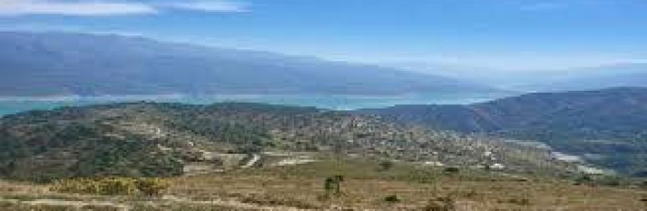 Properties in Rishikesh Cover Image