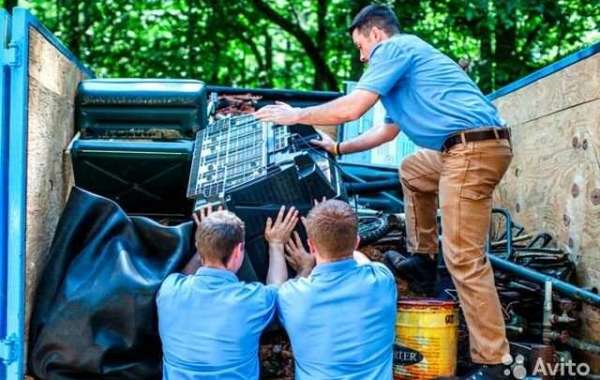 Eco-Friendly Junk Removal in Holly Springs, NC: How to Dispose of Waste Responsibly