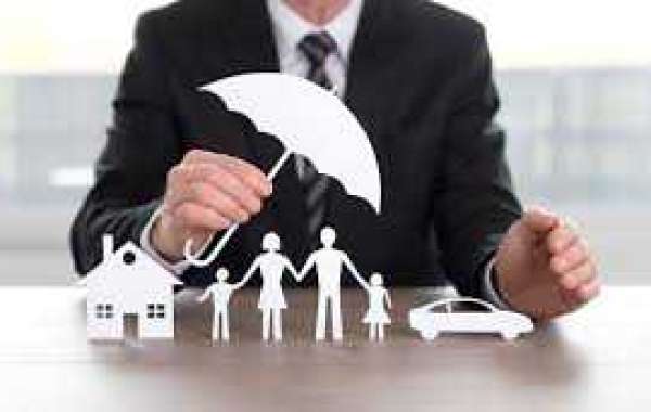 Top Reasons to Hire a Tampa Public Adjuster After Property Damage