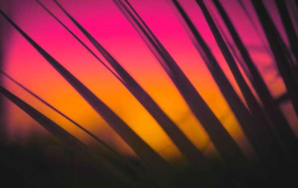 How can I tell if a moving company is trustworthy?