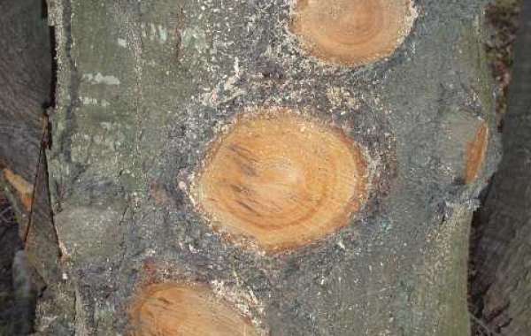 Anavar Before And After 1 Month, Anavar Earlier Than After Pics