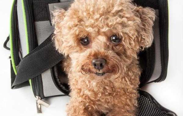 Travel in Style and Comfort with a Small Dog Carrier Purse